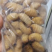 竹虫冻品，