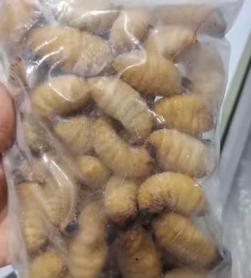 竹虫冻品，