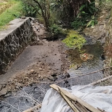 山地放养鸡，生态鸭