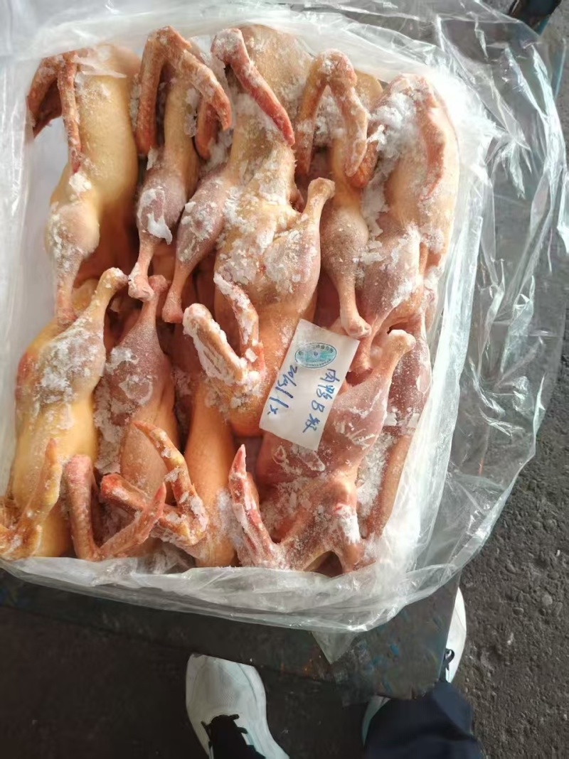 二级黄皮鸭单只3-5斤去爪带头翅纯干还有5/6吨