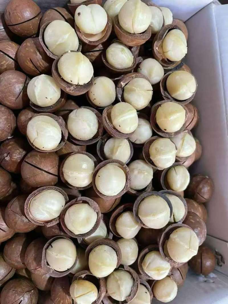 夏威夷果预热开启，规格齐全，可批发，可电商