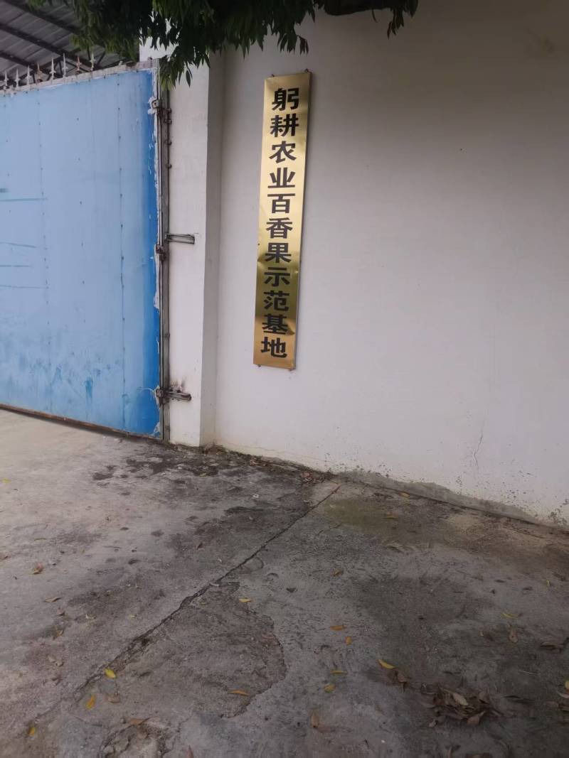 钦蜜9号百香果鲜挖果酱