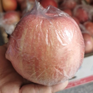 山西万荣，高原红品牌的红富士苹果