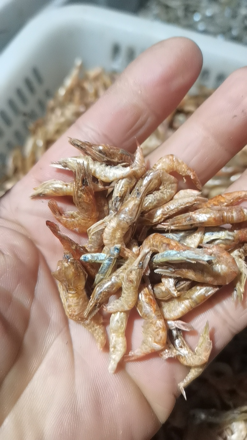 鱼干，冻板鱼