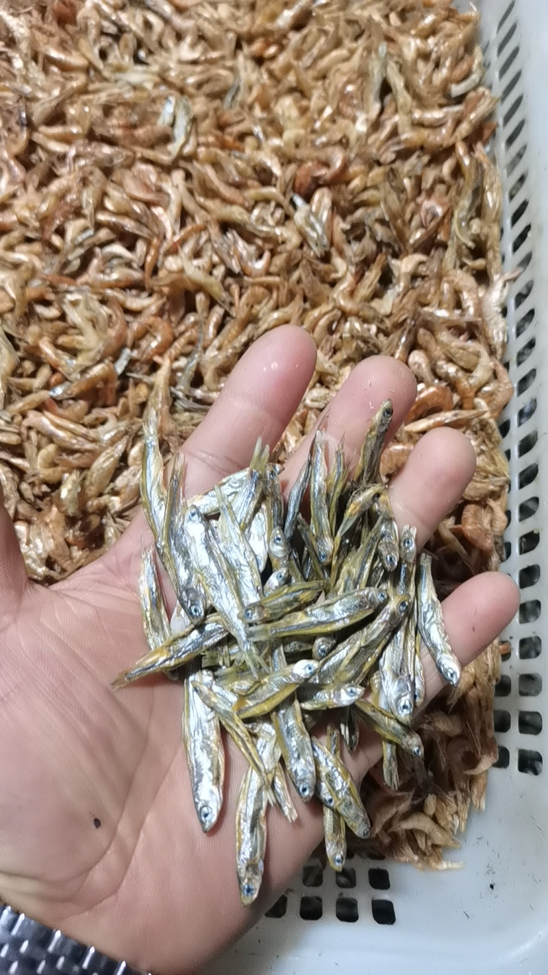 鱼干，冻板鱼