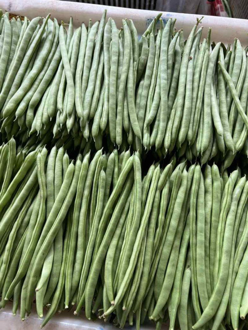 基地直发一手价格对接各种品质量大价优