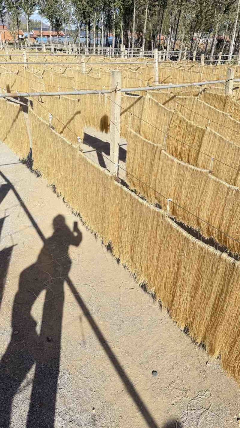 厂家供货红薯粉条木薯粉条全套按需求打包价格优惠欢迎电联