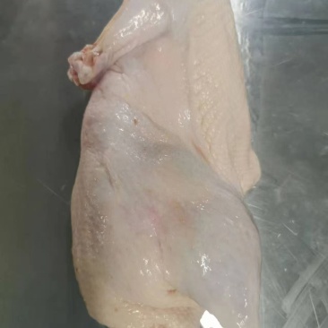 半片鸭原材料