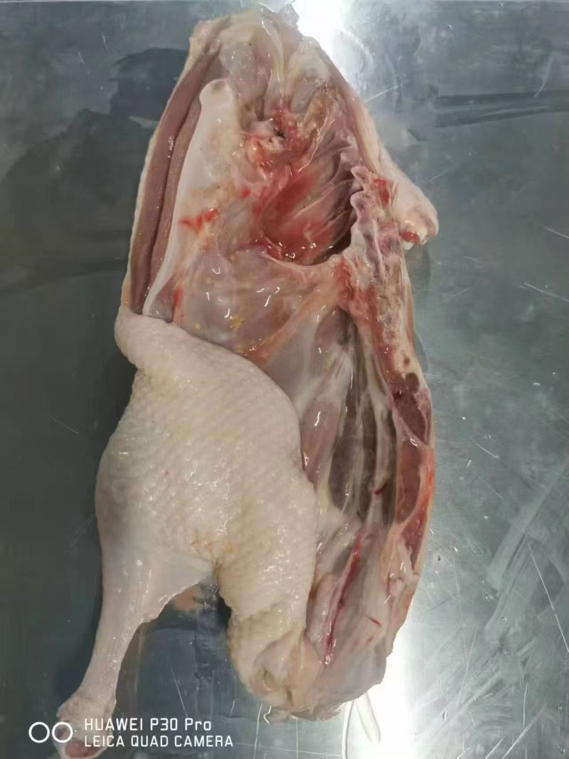 半片鸭原材料