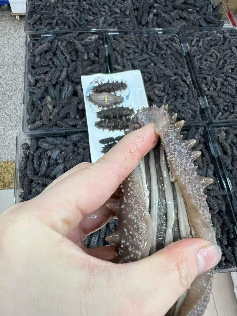威海本地，野生干海参
