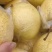河北大鸭梨