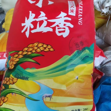 小粒香米