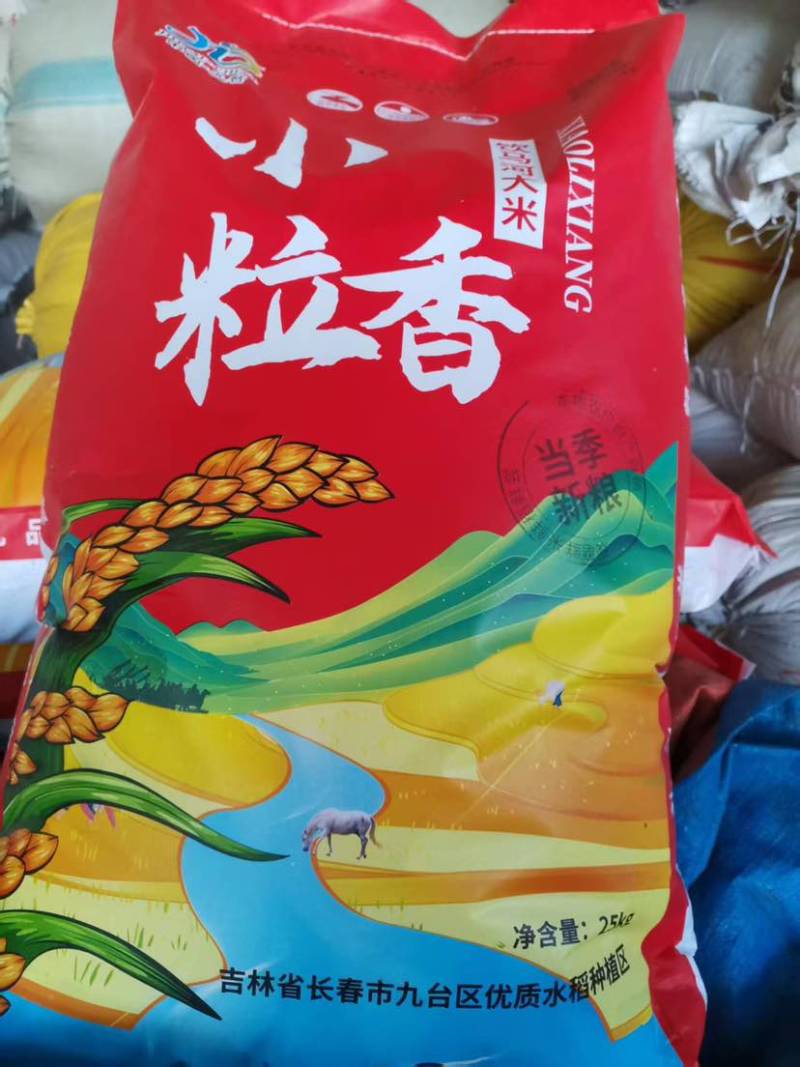 小粒香米