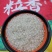 小粒香米