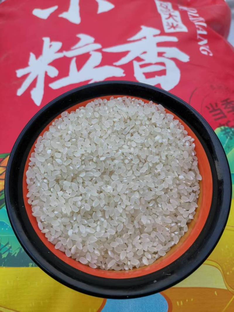 小粒香米