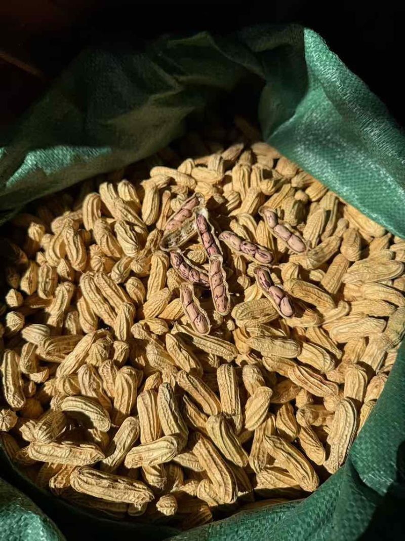 云南七彩花生，花青素含量丰富，奶香味，无科技狠活，