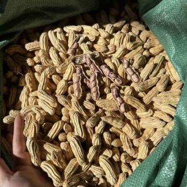 云南七彩花生，花青素含量丰富，奶香味，无科技狠活，