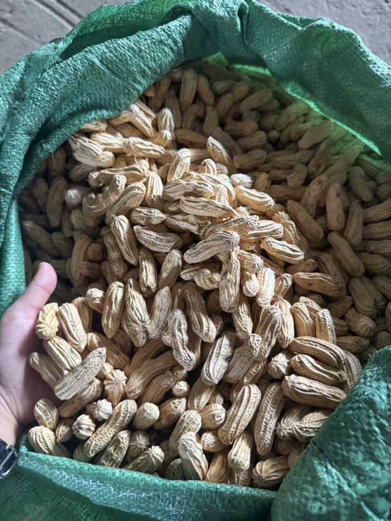 云南七彩花生，花青素含量丰富，奶香味，无科技狠活，