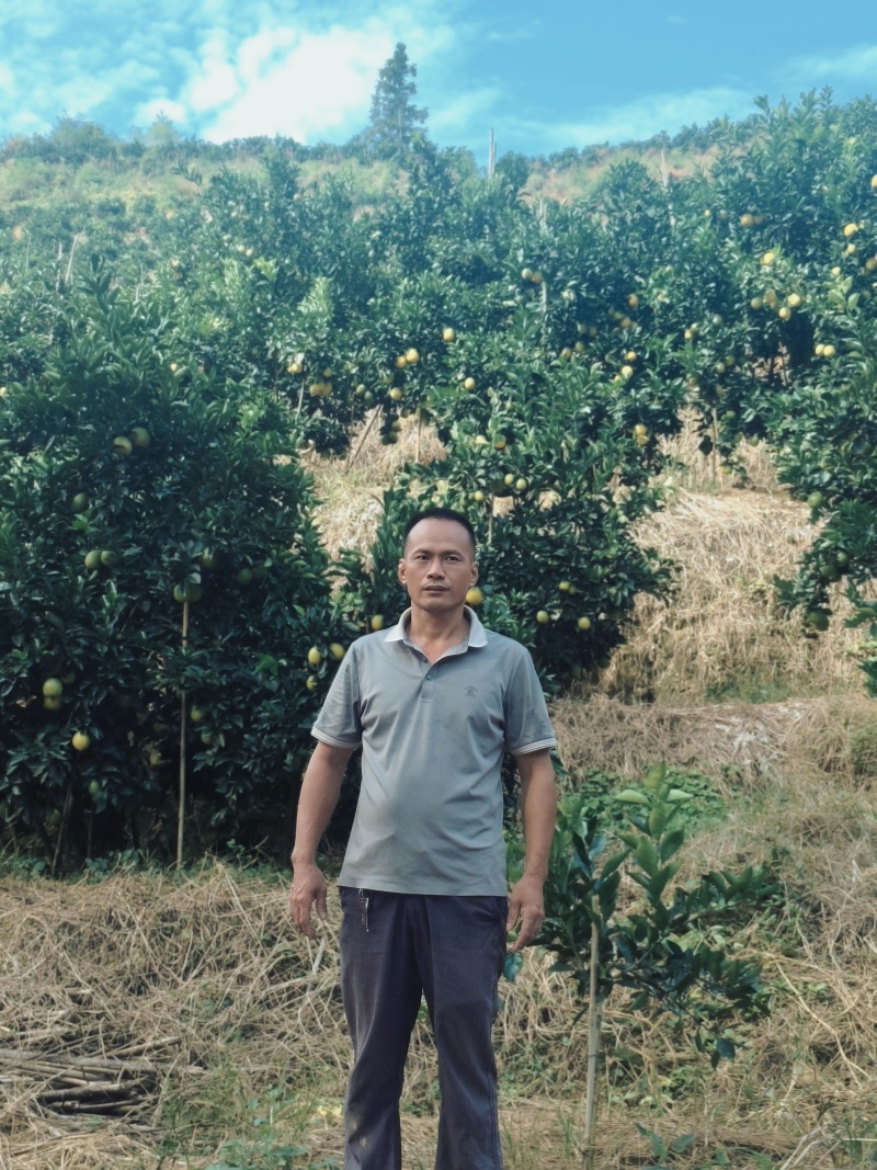 赣南脐橙