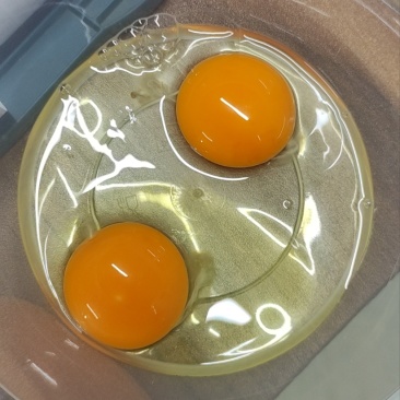 便宜卖鸡蛋喽