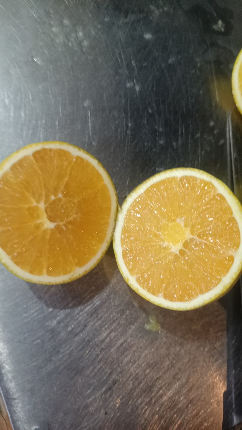 平和蜜香橙