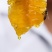 湖北恩施高山老蜂农土蜂蜜