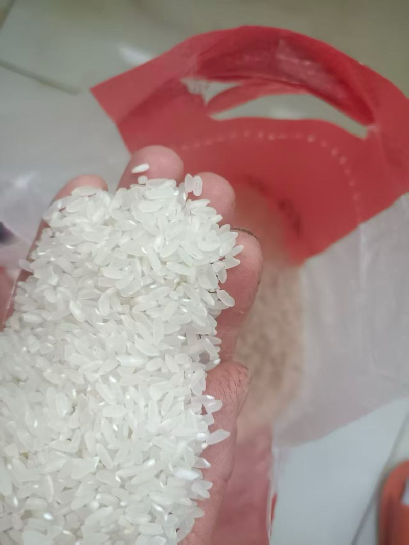 长粒香