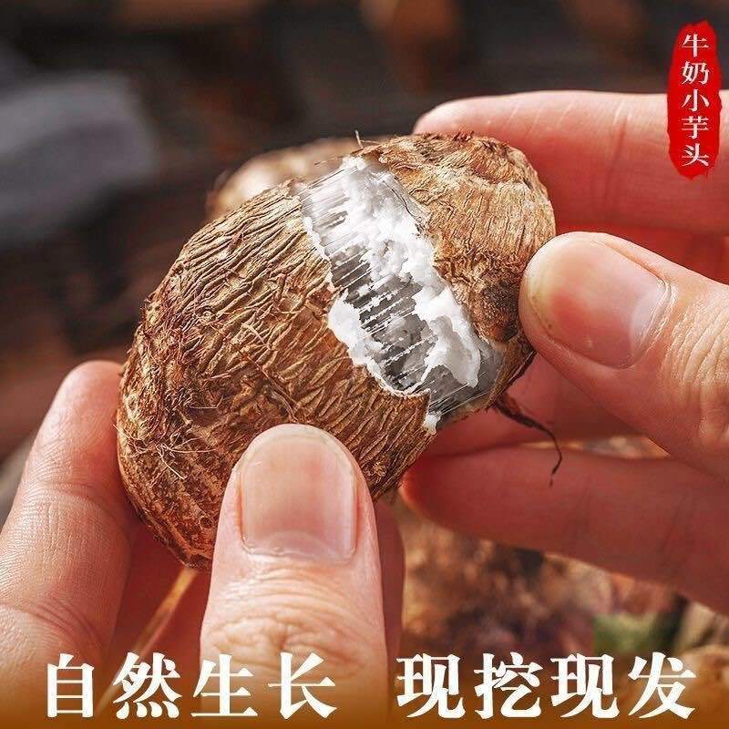 云南牛奶小芋头20克-50克