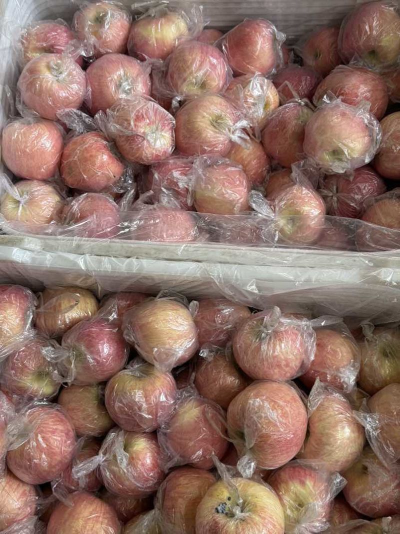 红富士苹果糖心纸加膜膜袋大量批发电商代发