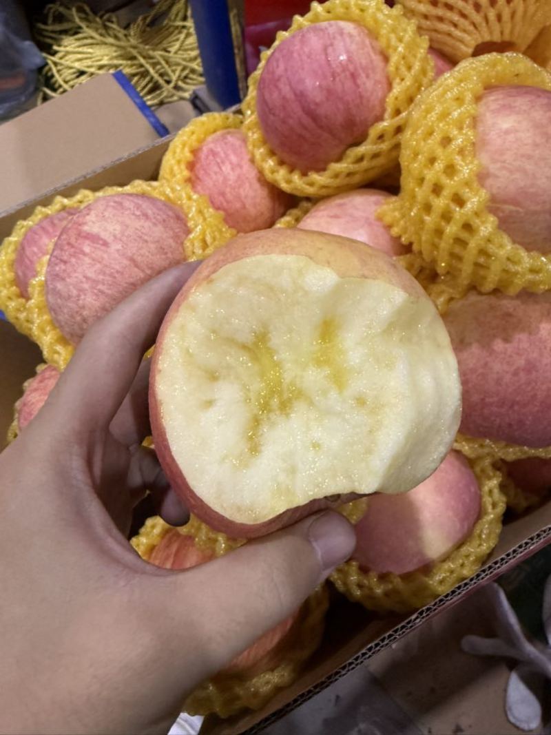 红富士苹果糖心纸加膜膜袋大量批发电商代发