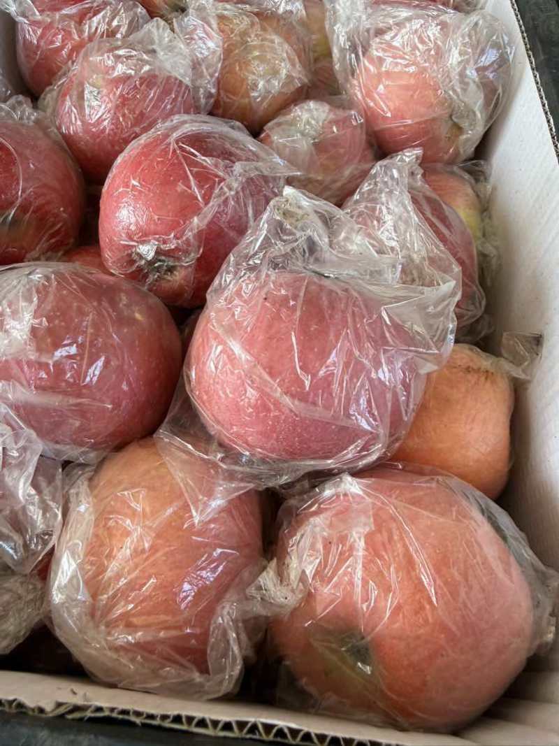 红富士苹果糖心纸加膜膜袋大量批发电商代发