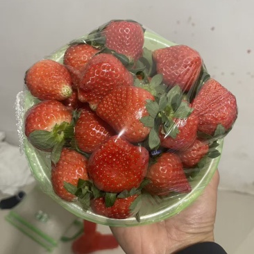 徐州市贾汪耿集镇草莓