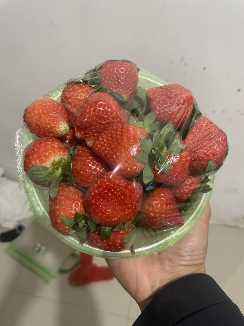 徐州市贾汪耿集镇草莓