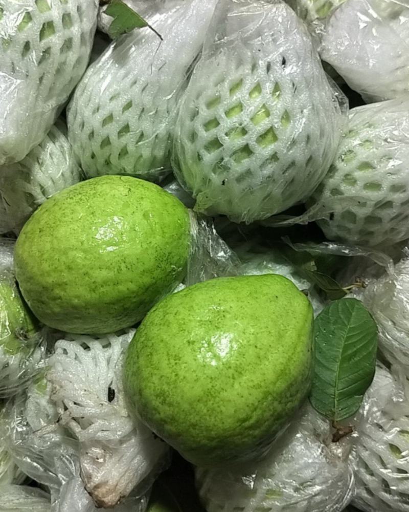 大量有货，四秀批发，贷量充足