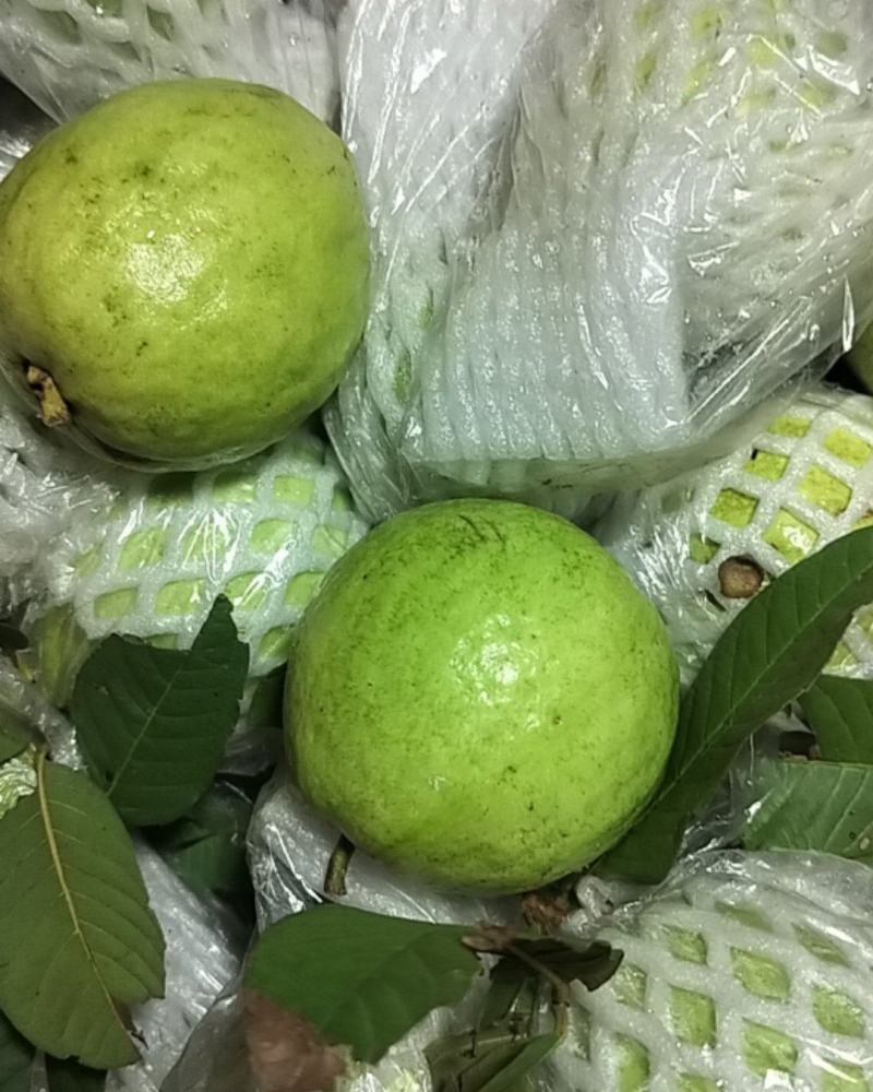 大量有货，四秀批发，贷量充足