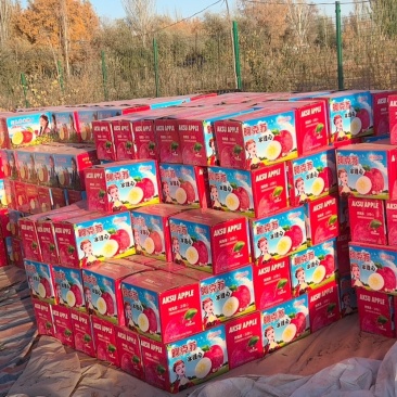 新疆阿克苏冰糖心苹果