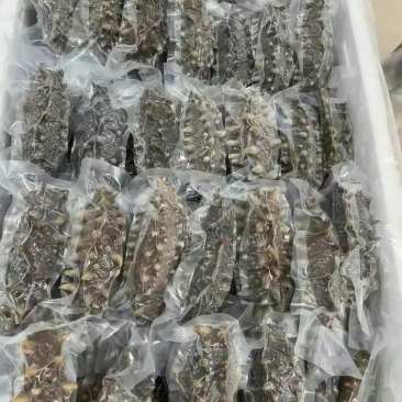 威海海参，一只3.98