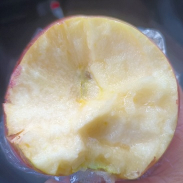 山东红富士苹果