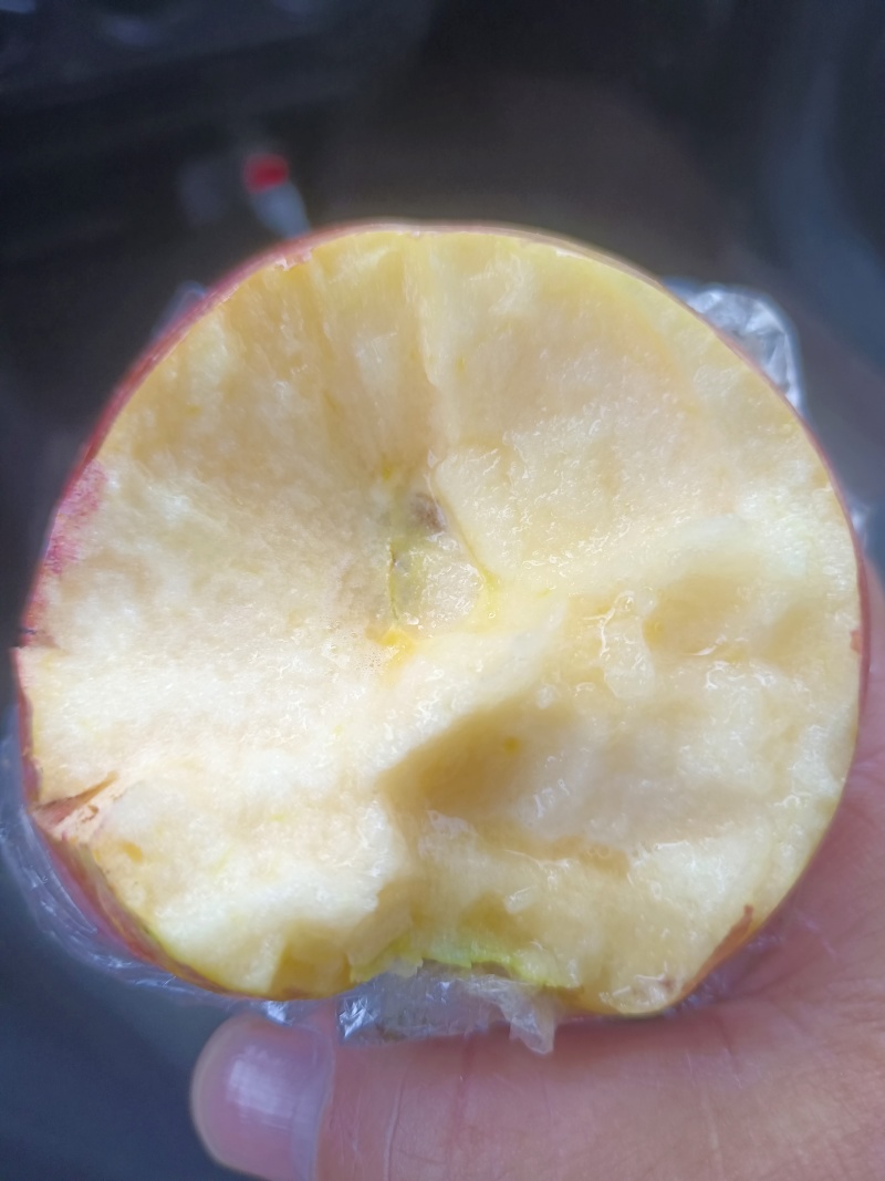 山东红富士苹果