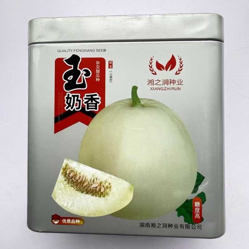 湘之润玉奶香薄皮杂交甜瓜种子高圆光滑无棱沟瓤色淡绿脆甜20克