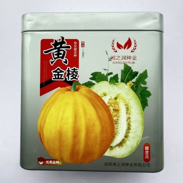 湘之润黄金棱丑八怪黄皮甜瓜香瓜种子早熟薄皮脆肉糖度高口感甜脆