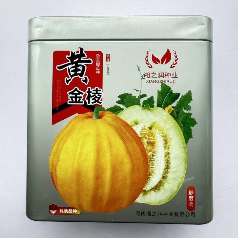 湘之润黄金棱丑八怪黄皮甜瓜香瓜种子早熟薄皮脆肉糖度高口感甜脆