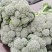 西蓝苔香芋冬瓜
