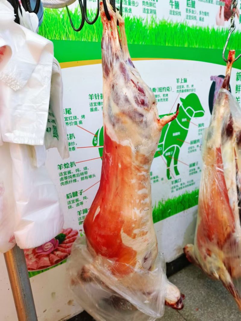 内蒙古草原羊肉