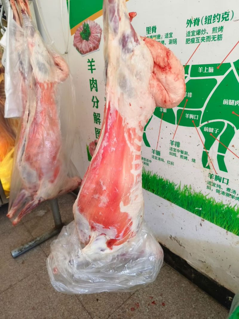 内蒙古草原羊肉
