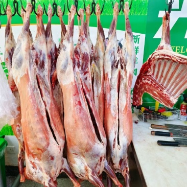 内蒙古草原羊肉