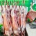 内蒙古草原羊肉
