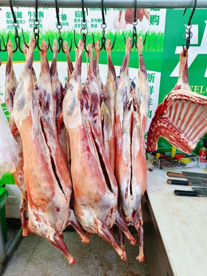 内蒙古草原羊肉