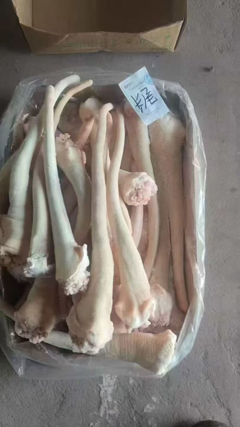 母猪长尾巴山东发货质量保证价格便宜