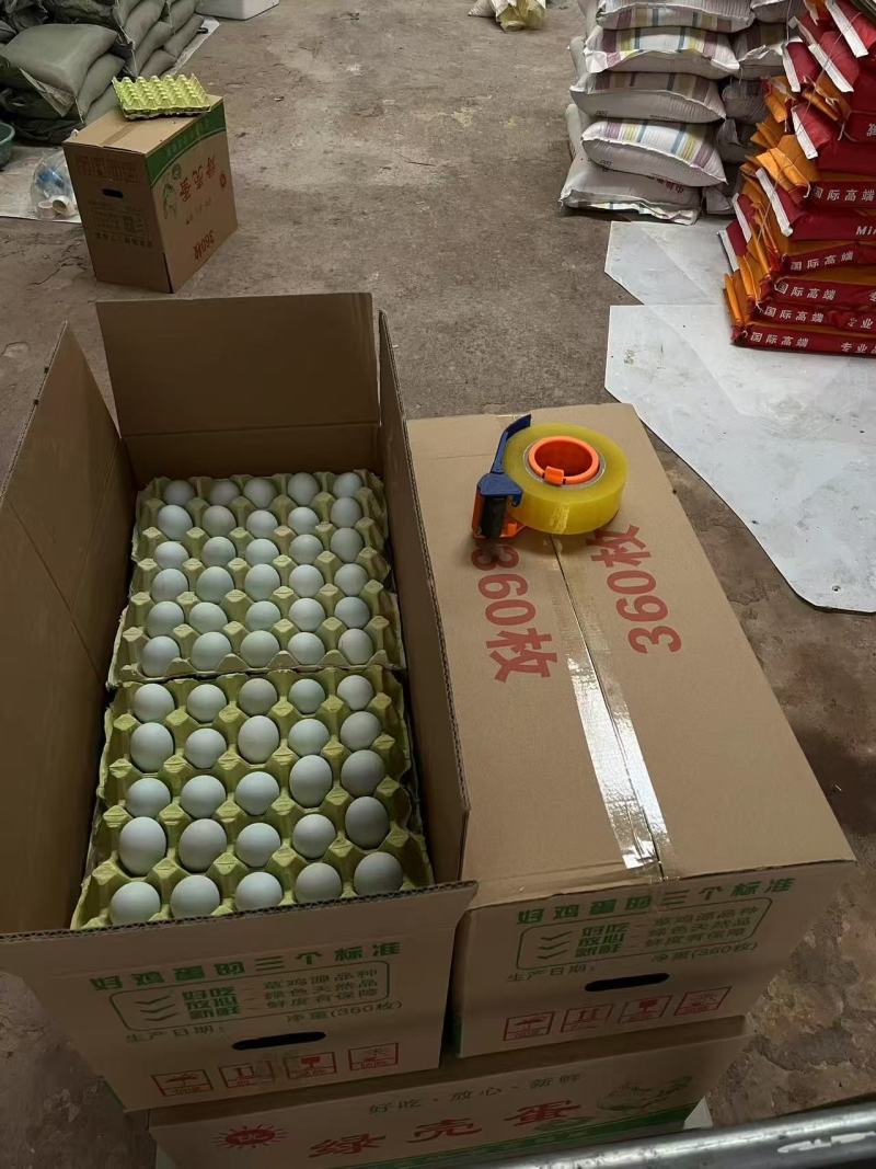 绿壳鲜鸡蛋双色